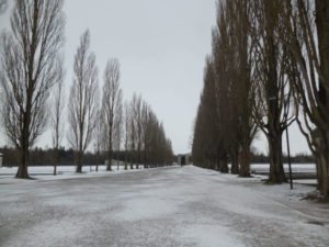 Campo aberto em Dachau