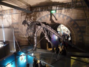 Museu de História Natural
