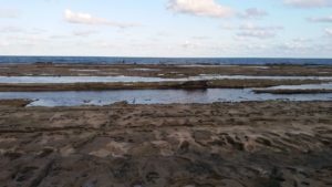 Praia do Muro Alto em Porto de Galinhas