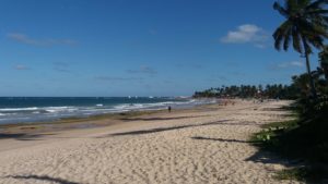 Viajar para Porto de Galinhas