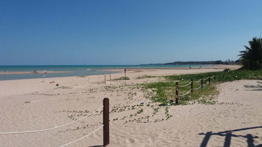 Um dia nas praias de maragogi