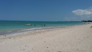 praias de maragogi no verão
