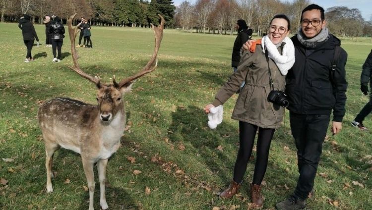 phoenix park